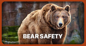 Bear Safety Essentials: Staying Safe in National Parks BS101